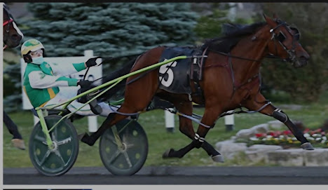 Beach Sports racing at the track